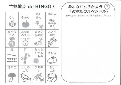 bingo2.jpg