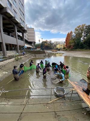 人工池の清掃活動1.jpg
