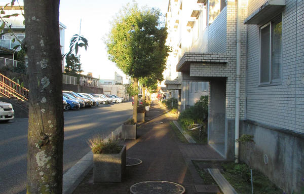 IMG_1663.JPG