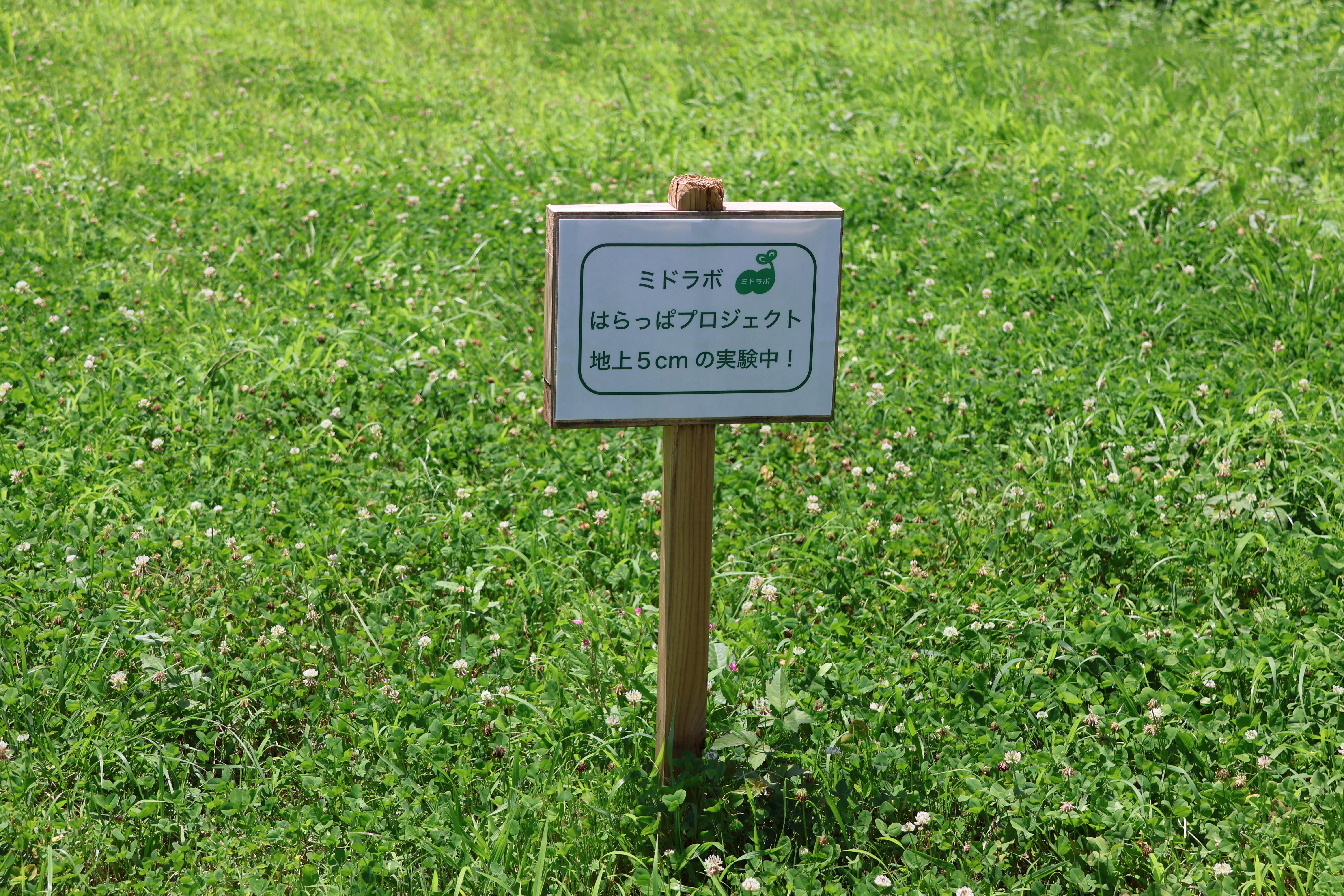 20_IMG_9035.JPG