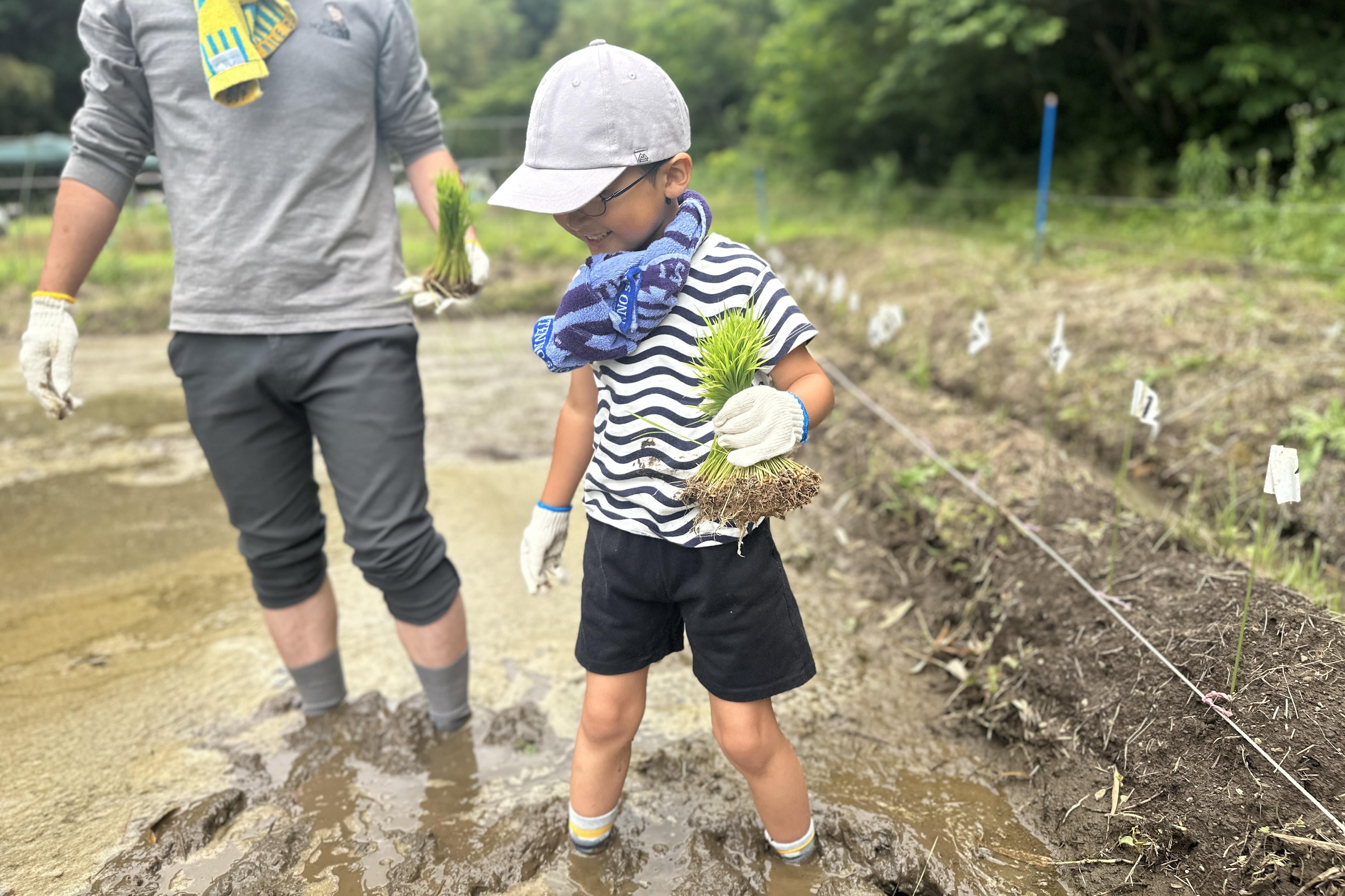 田んぼに入る子ども.JPG