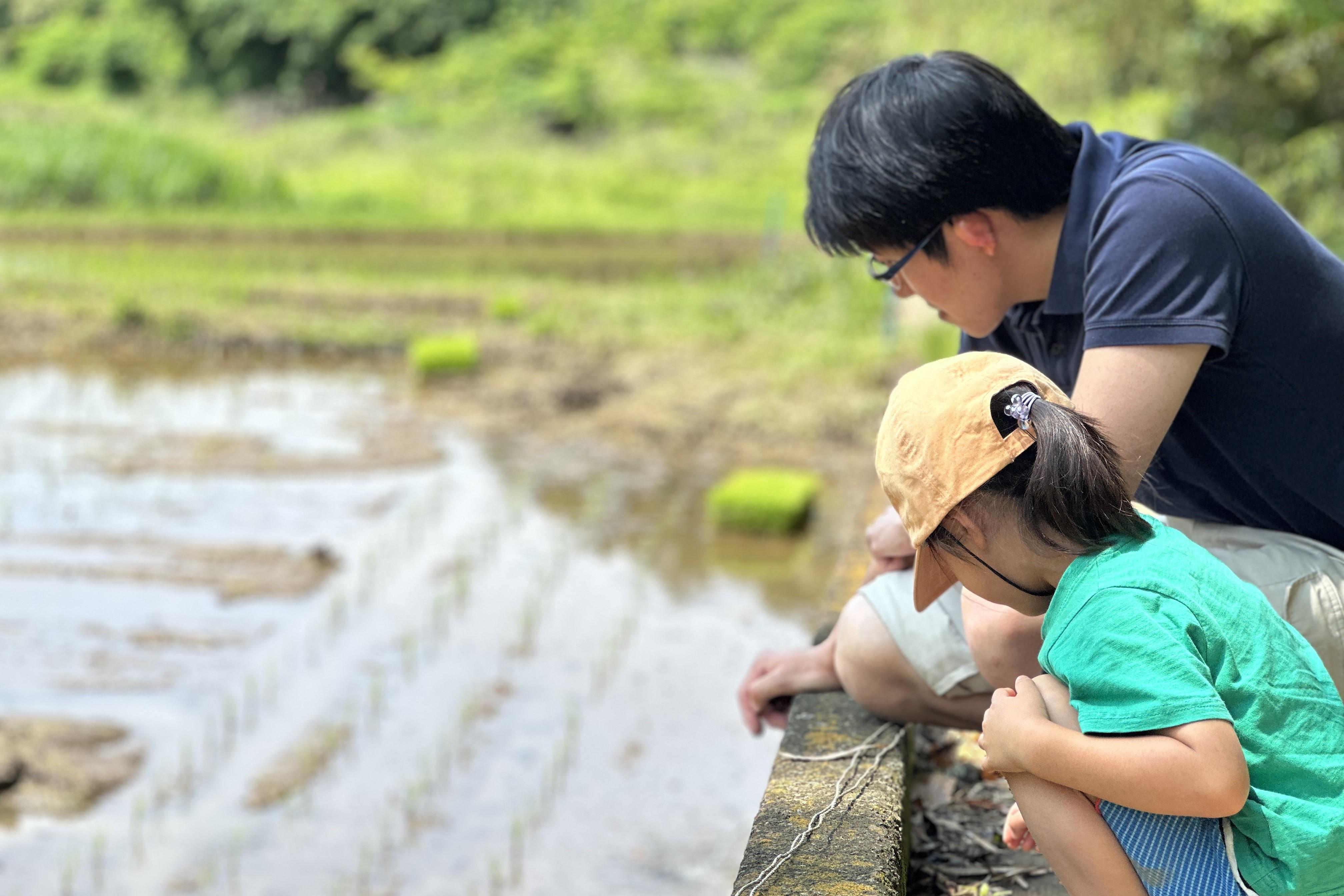 水田眺める親子.JPG