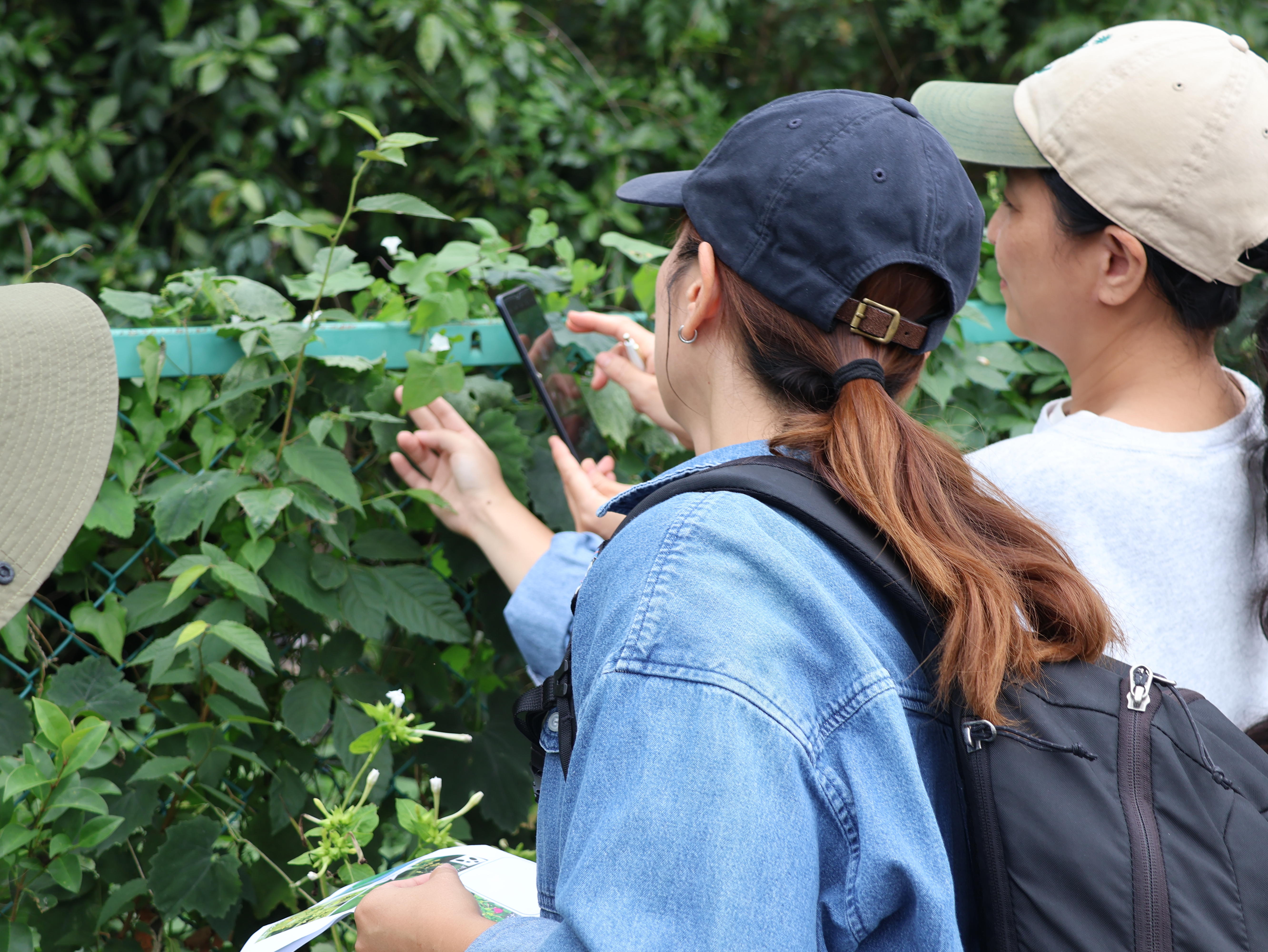 二宮里山散策 (46).JPG