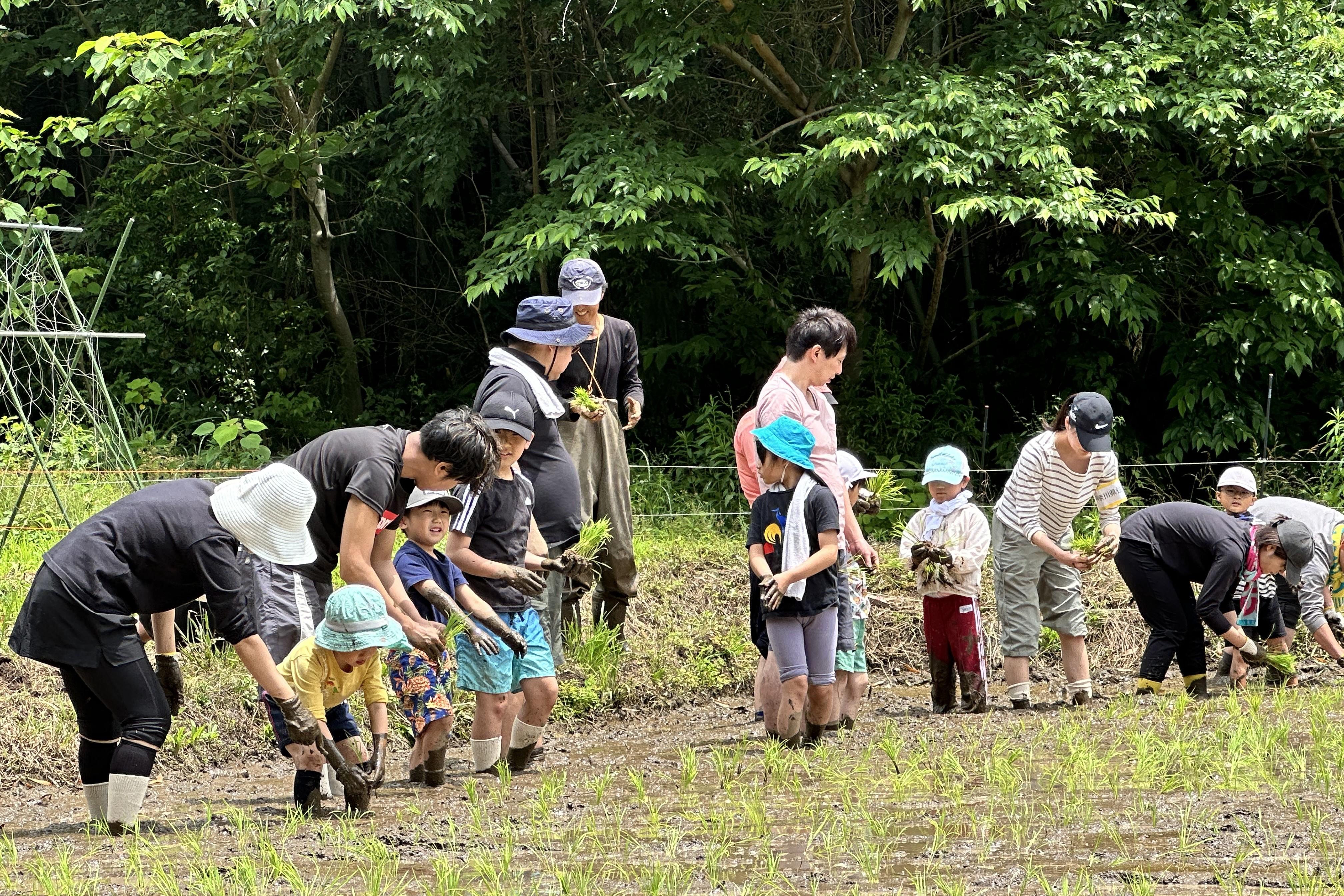 苗植えの様子2.JPG