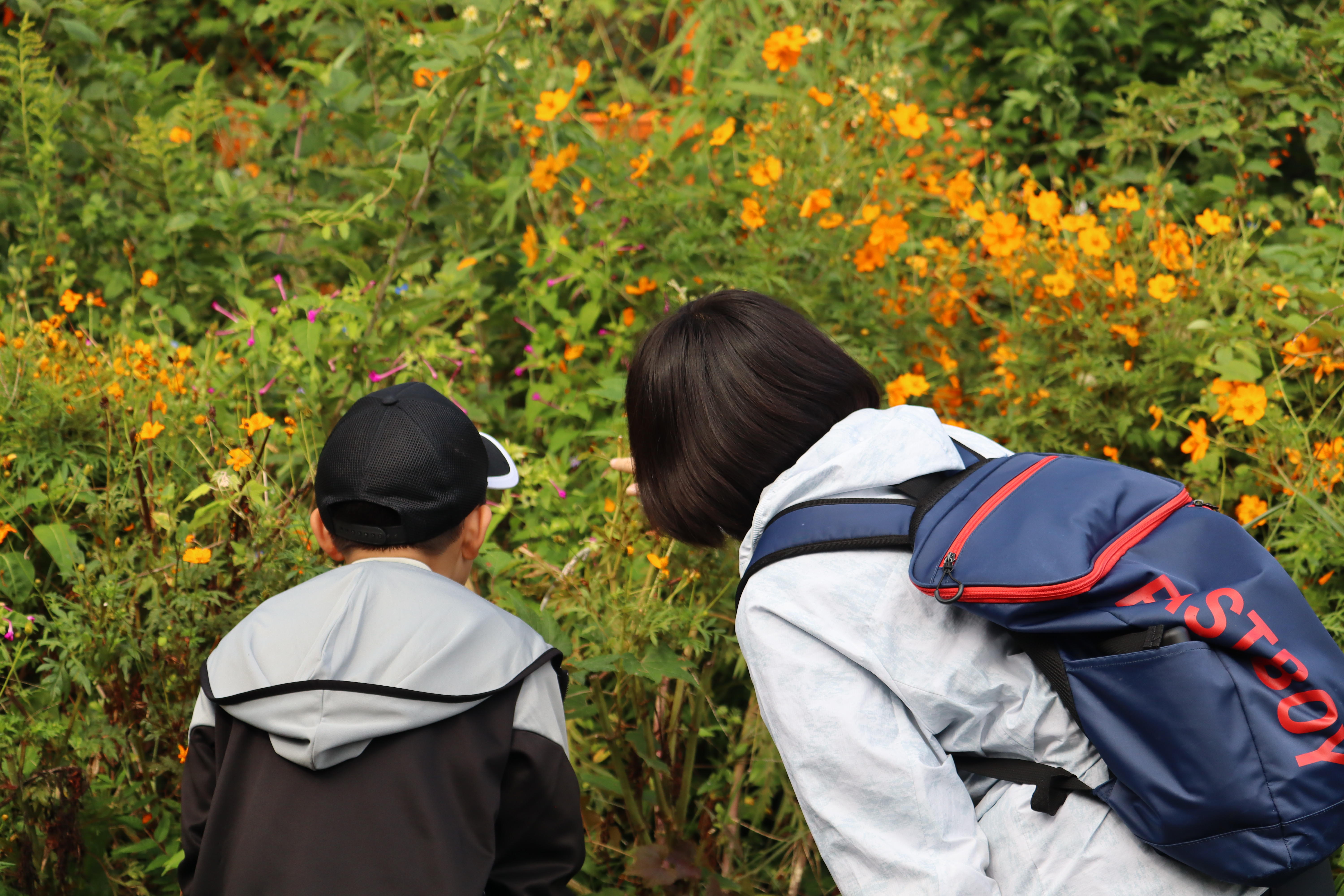 二宮里山散策 (5).JPG