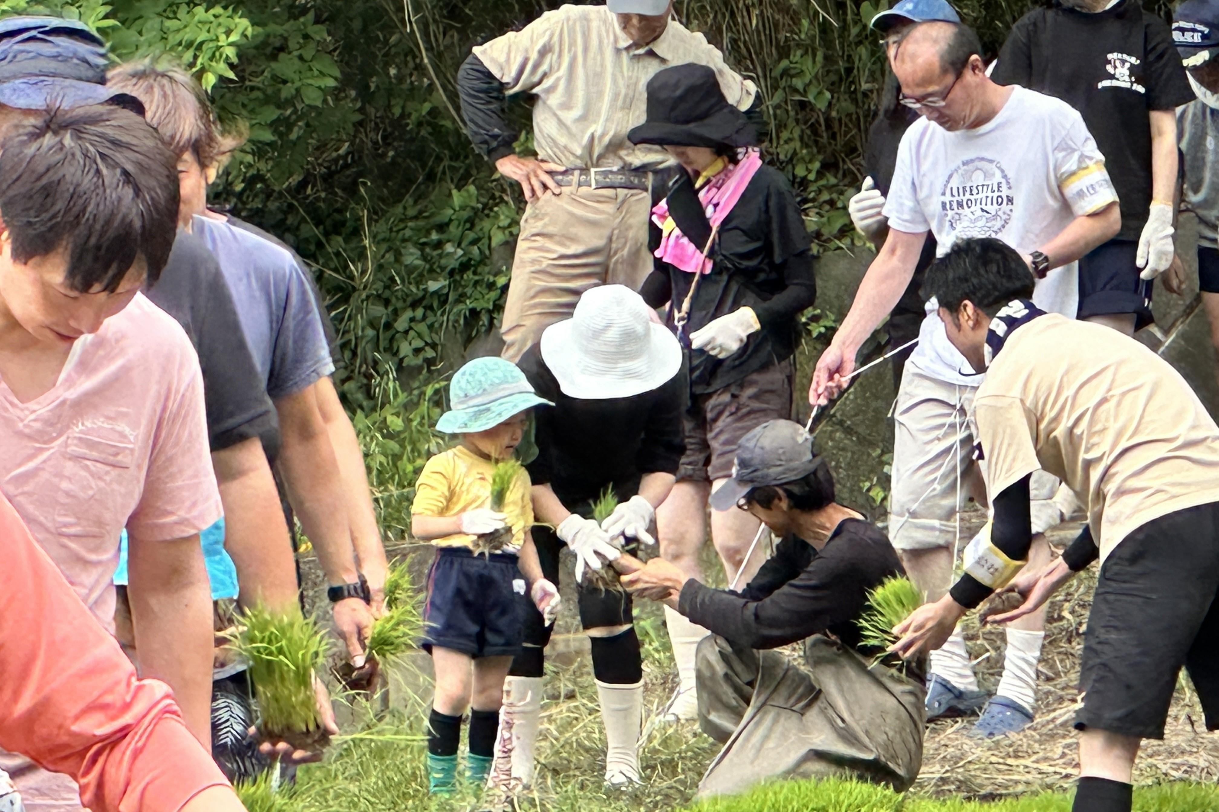 苗を受け取る子ども.JPG