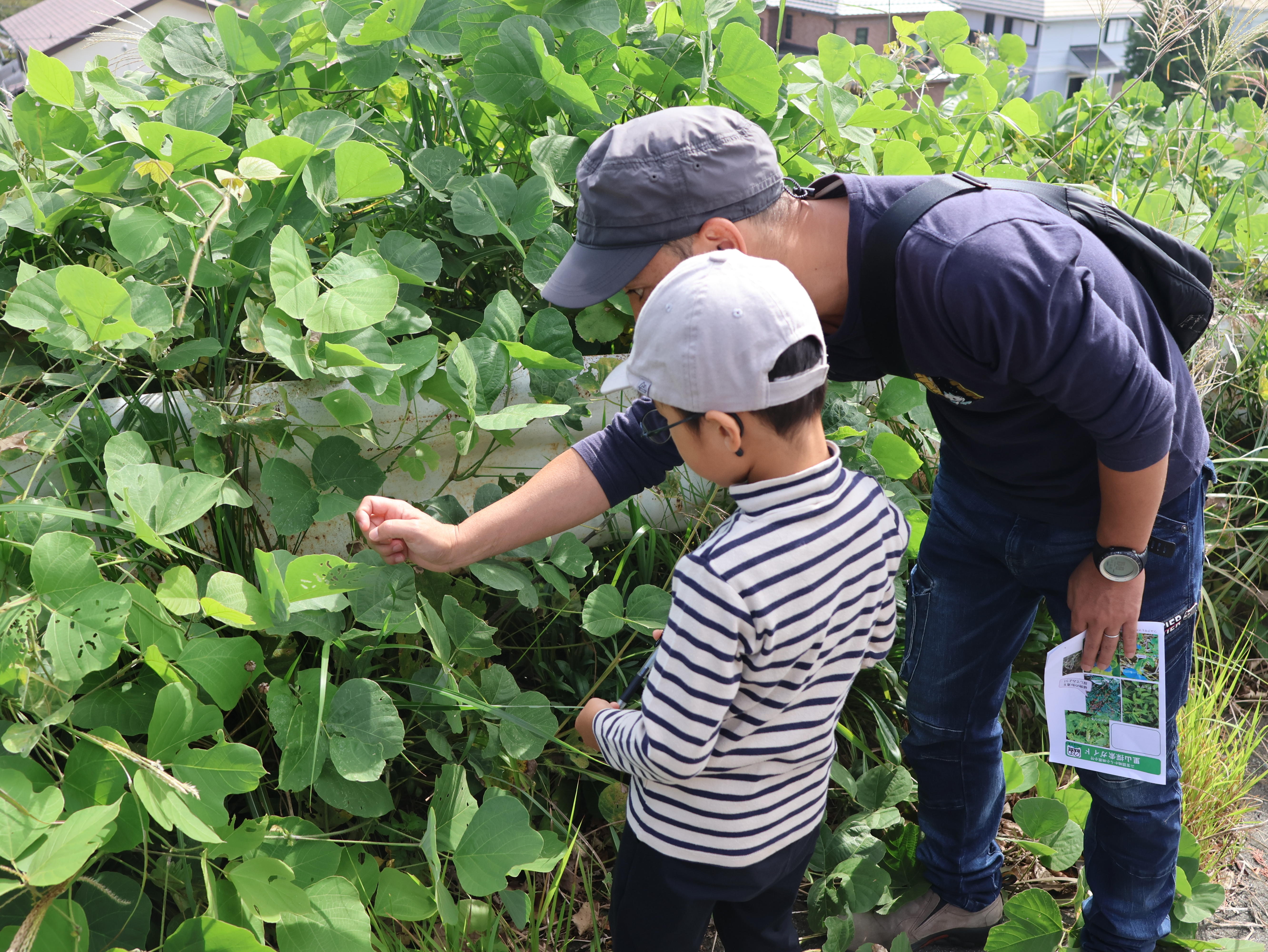二宮里山散策 (23).JPG