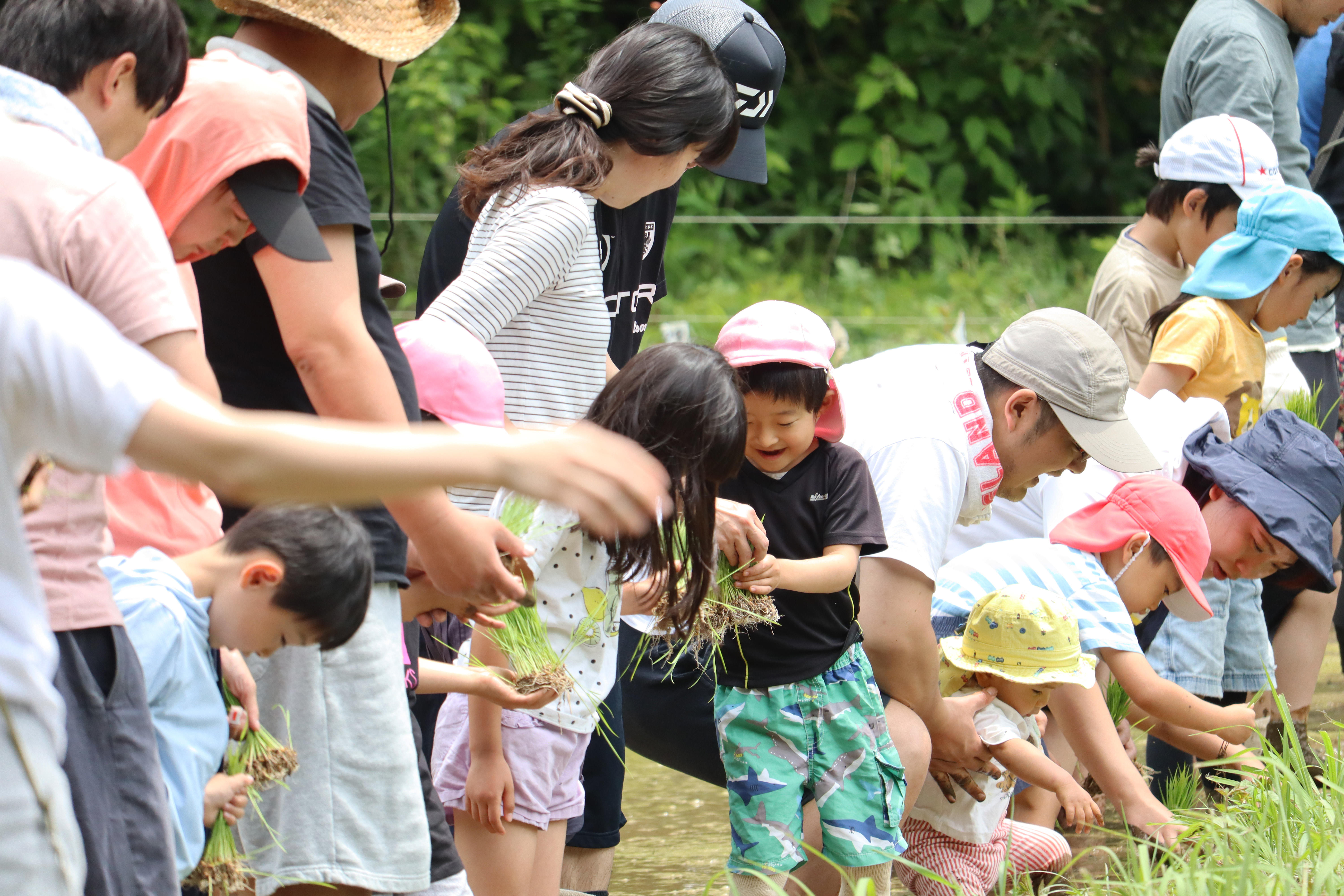 13小田原小竹田植え.JPG