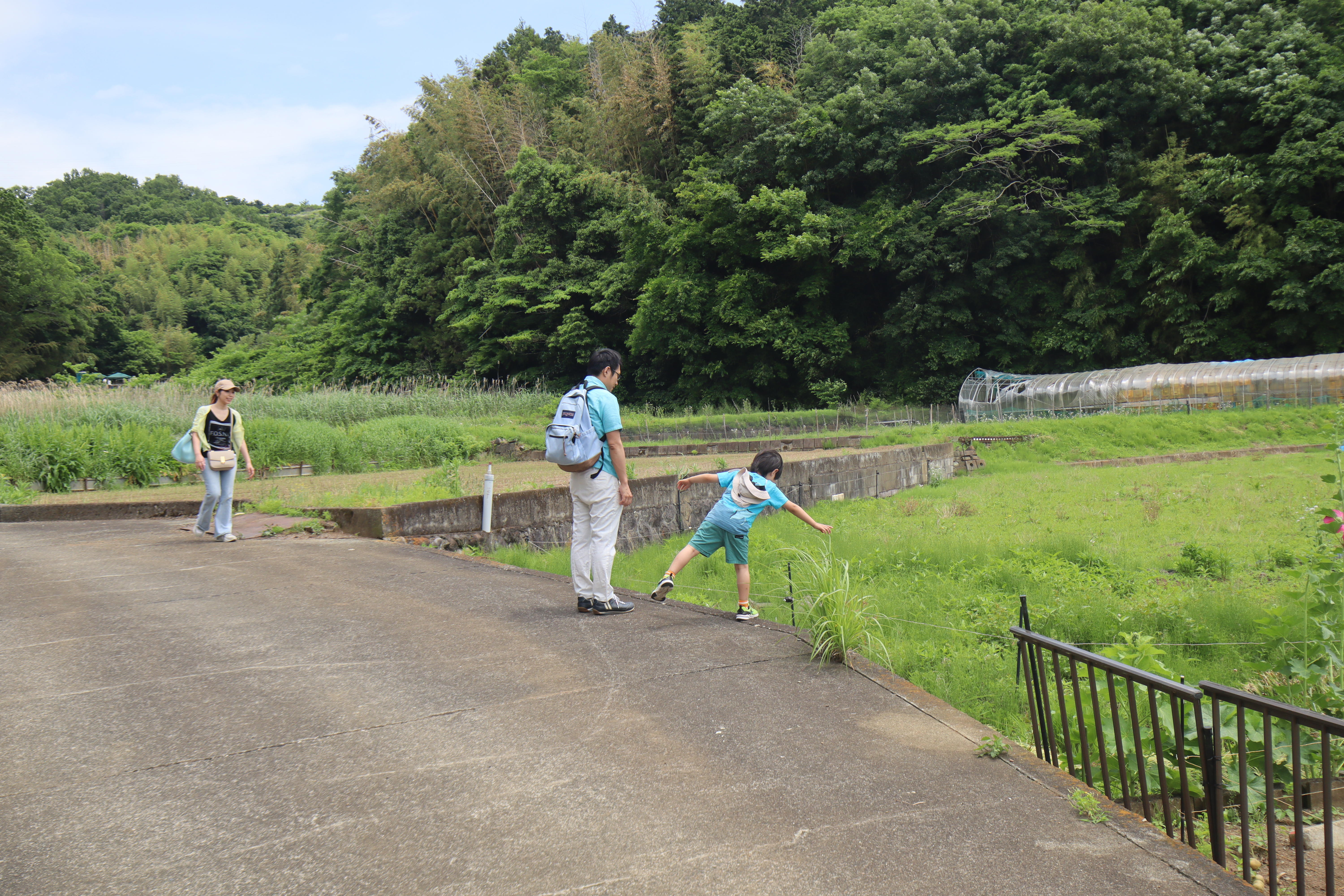 04小田原小竹田植え.JPG