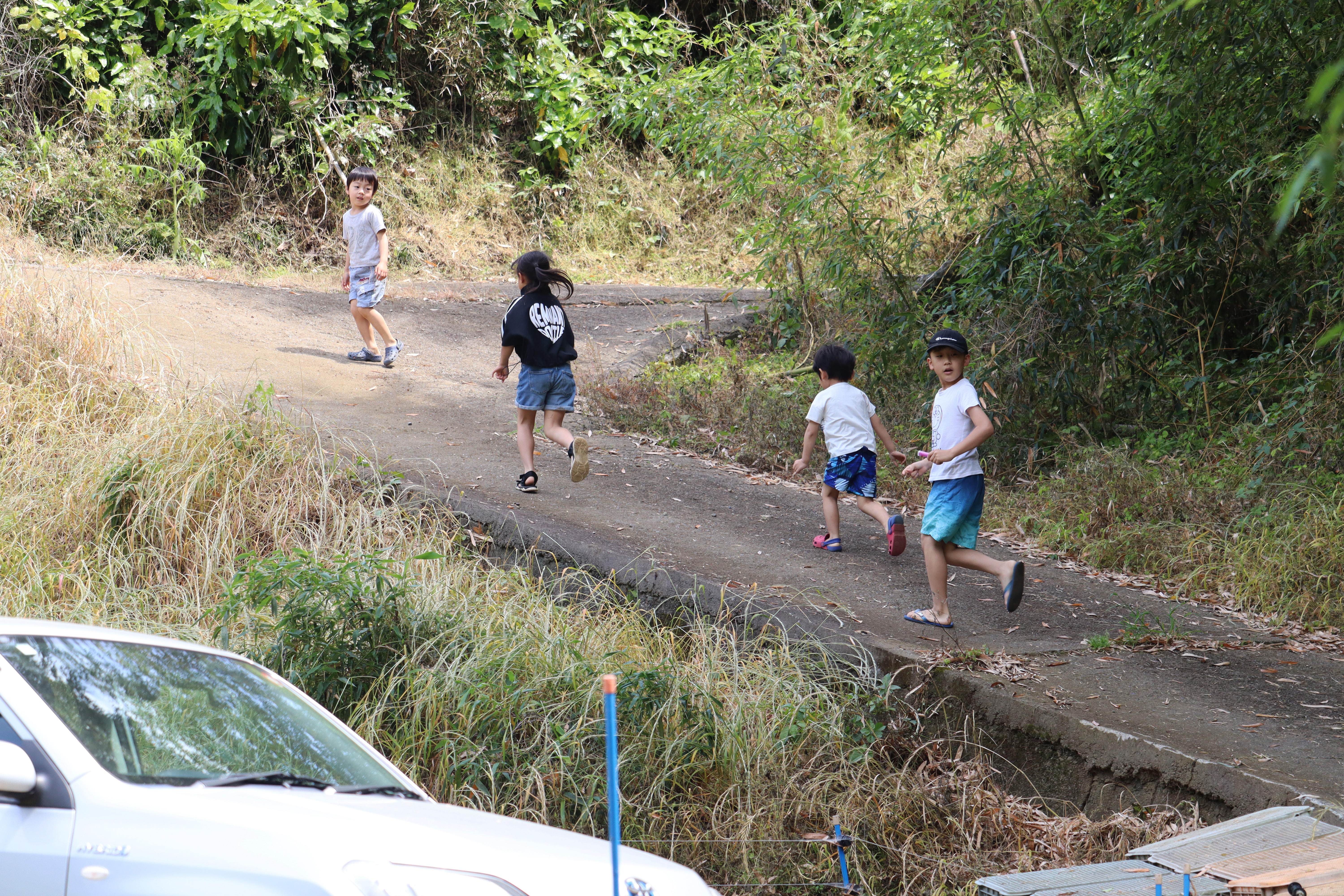 19小田原小竹田植え.JPG