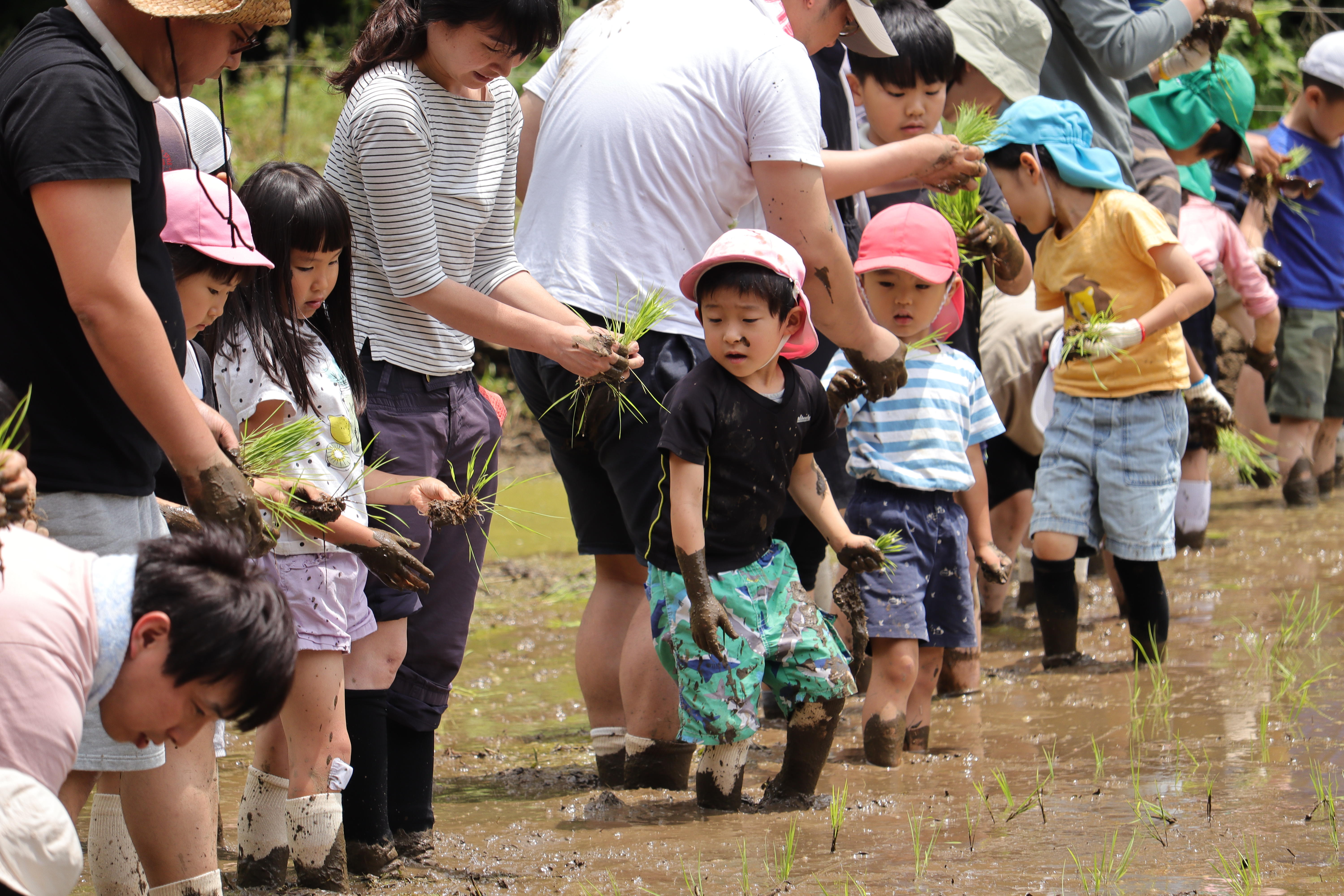 12小田原小竹田植え.JPG