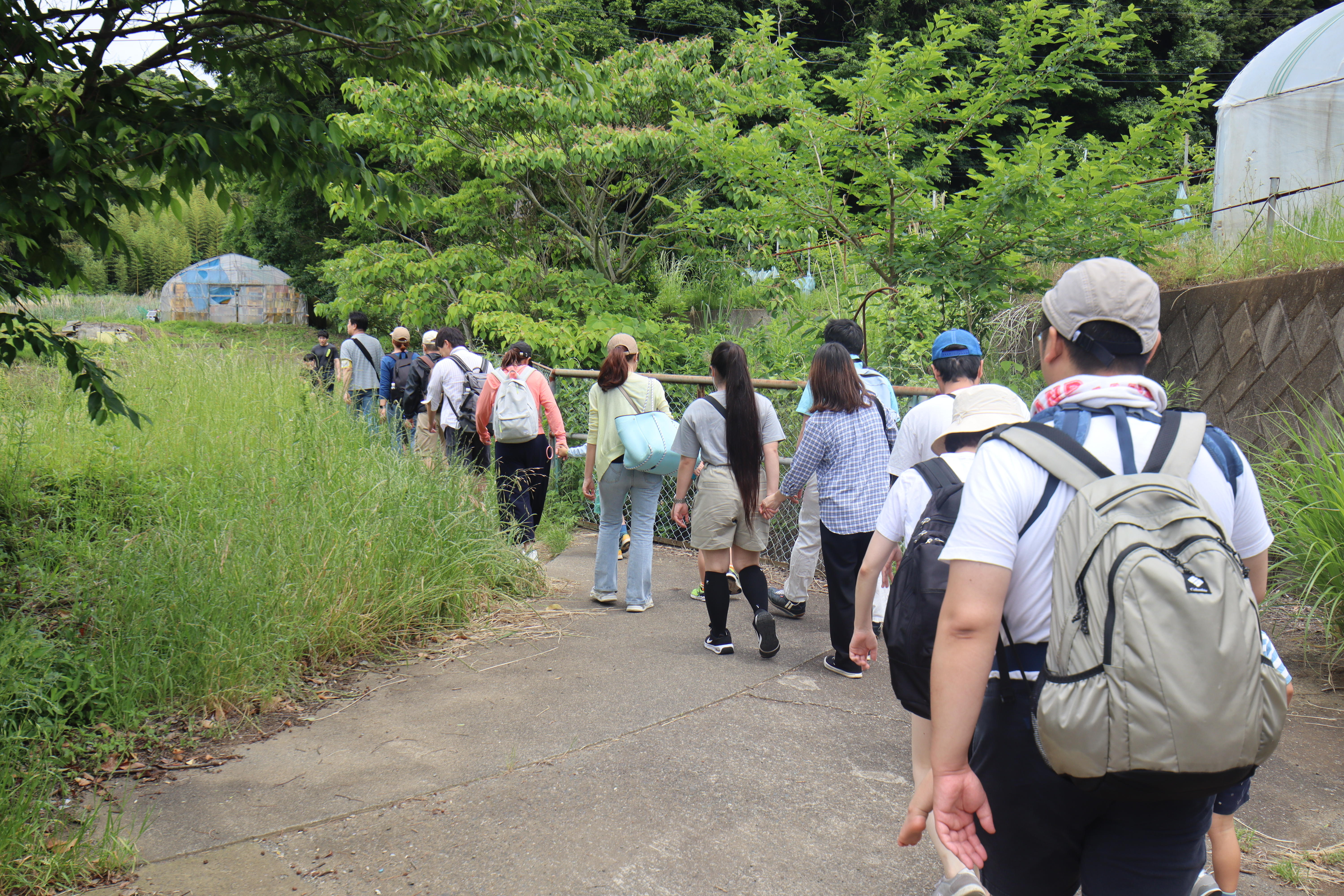 02小田原小竹田植え.JPG